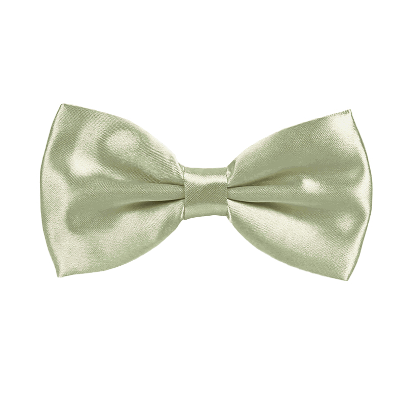 Stacees Glossy Satin Solid Bow Tie
